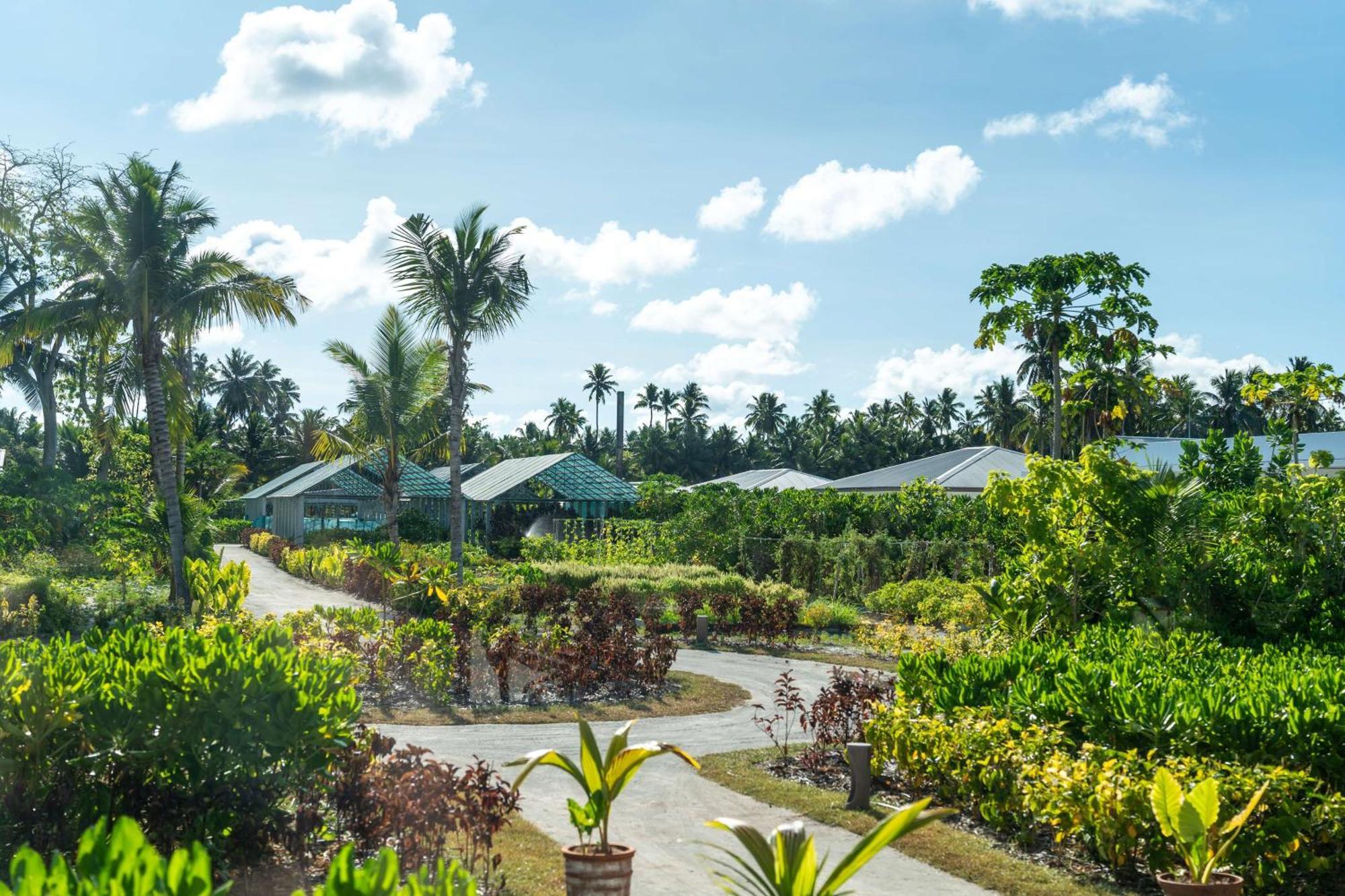 Waldorf Astoria Seychelles Platte Island 호텔 외부 사진